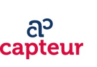 .NET Developer