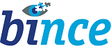 BI Consultant