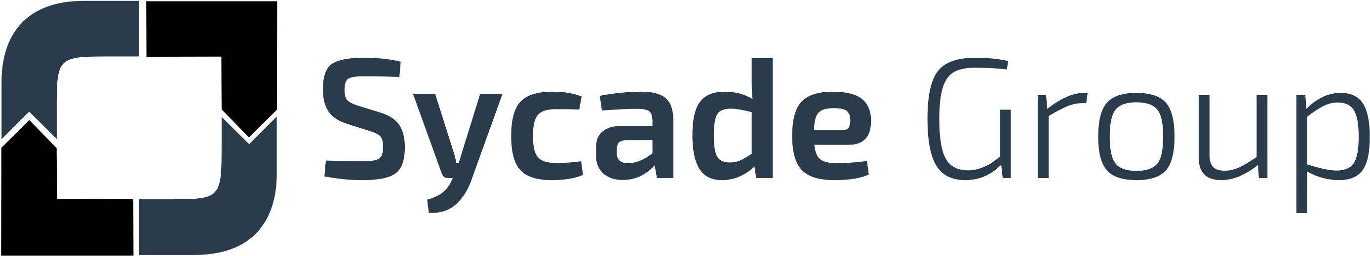 .NET Developer