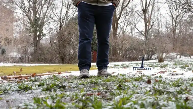 Het vermijden van deze gewoonte in februari kan uw gazon transformeren een advies dat velen nog steeds negeren