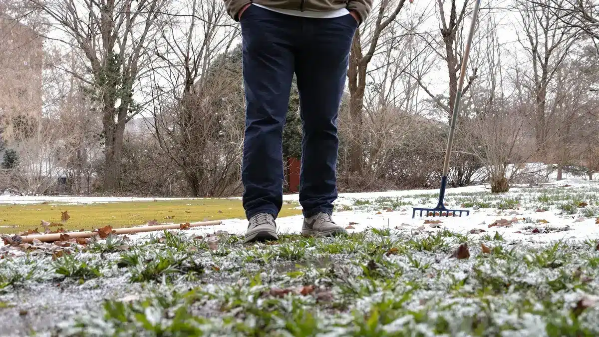 Het vermijden van deze gewoonte in februari kan uw gazon transformeren een advies dat velen nog steeds negeren